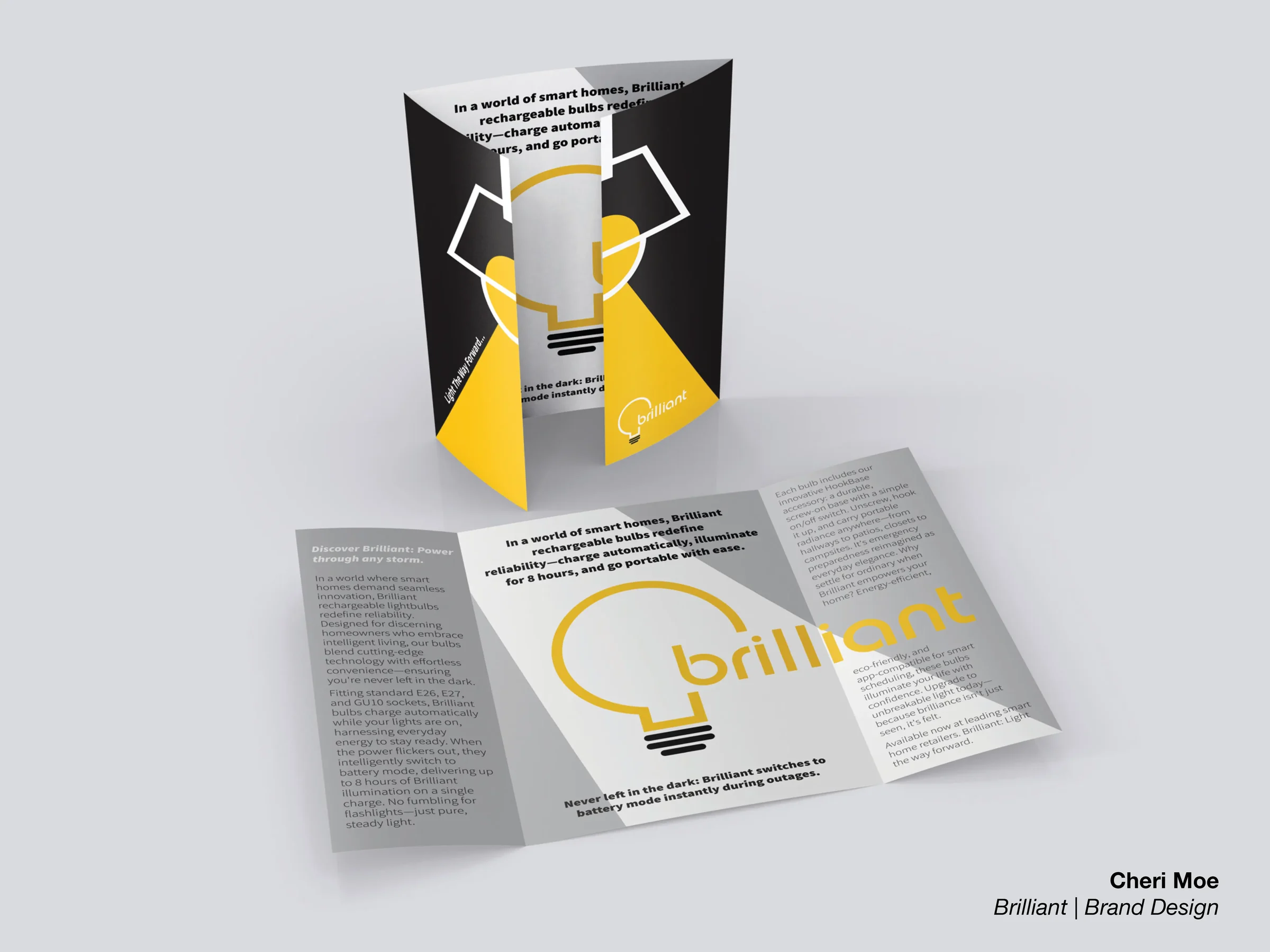 Brilliant folded brochure and package mockup by Cheri Moe.